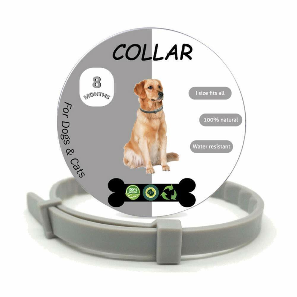 Safe Pet™ - Collar Antipulgas